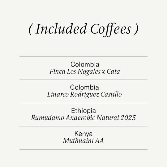 Selected by Assembly — Coffee Collection